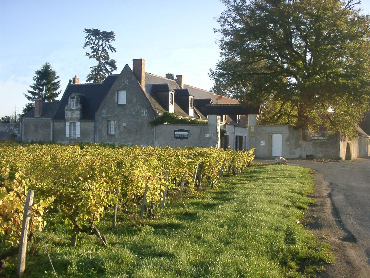 Au Clos De L'Epinay Vouvray Kültér fotó