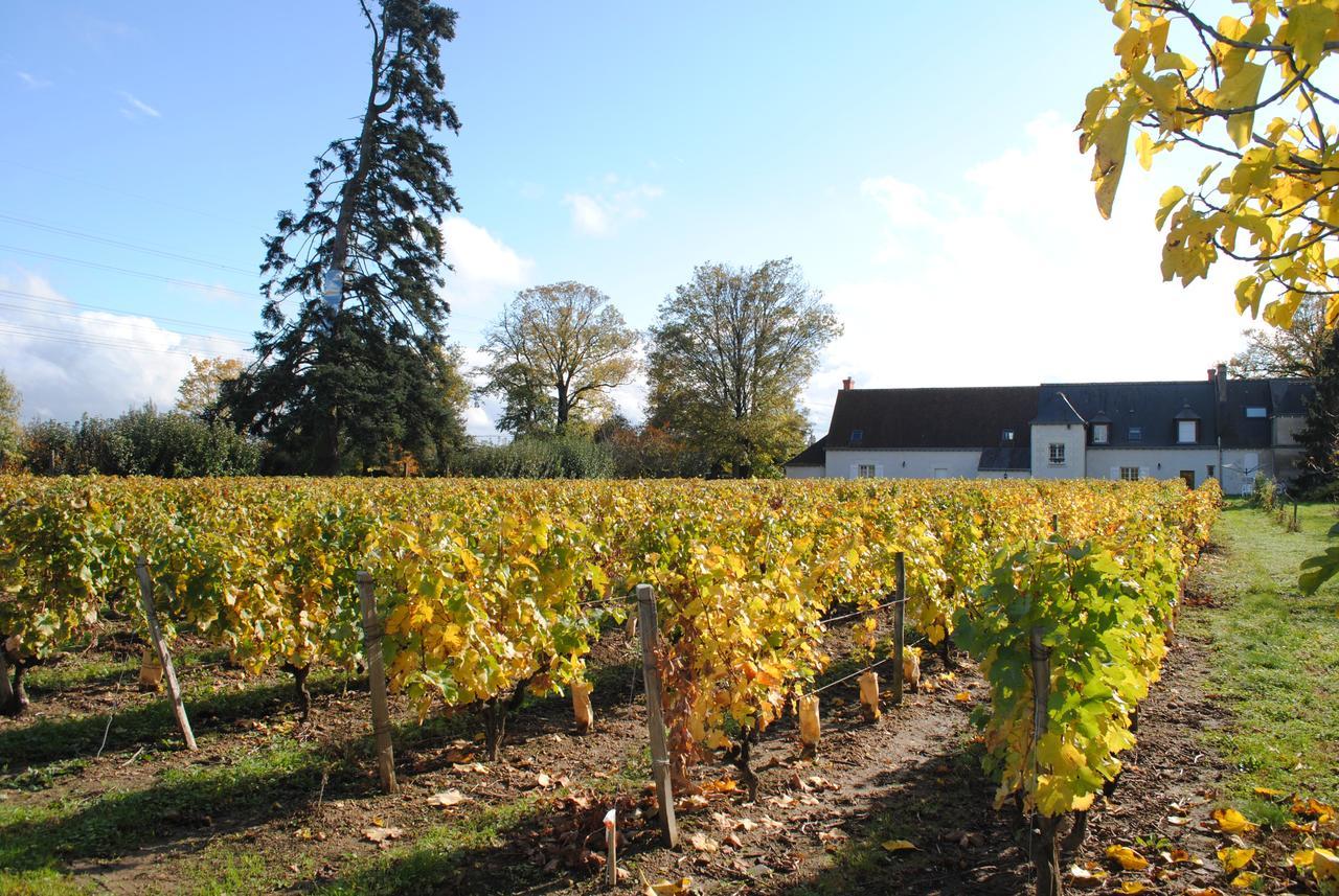 Au Clos De L'Epinay Vouvray Kültér fotó