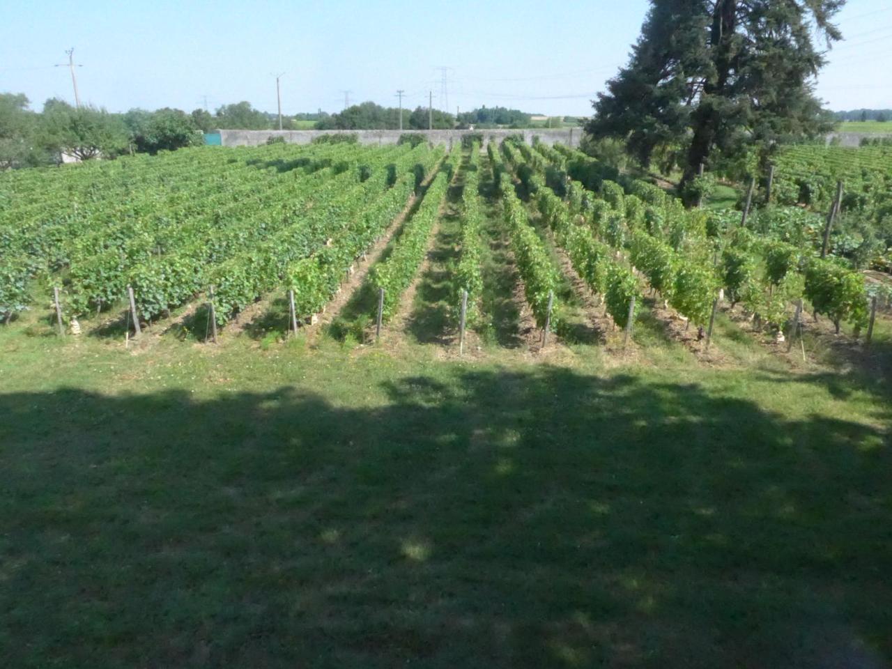 Au Clos De L'Epinay Vouvray Kültér fotó